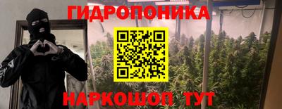 прущие грибы Бугуруслан