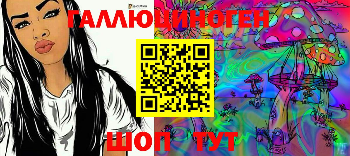 Псилоцибиновые грибы Cubensis Тейково